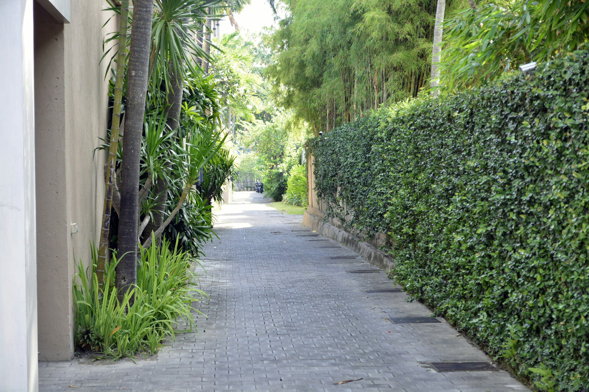 Sienna Villas - CHSE Certified Seminyak Esterno foto